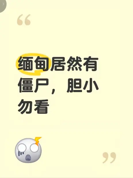《缅甸僵尸出土事件》高清完整版在线观看 - 揭秘缅北神秘事件真相 - 现场全程录像揭秘 - 最新无删减免费播放